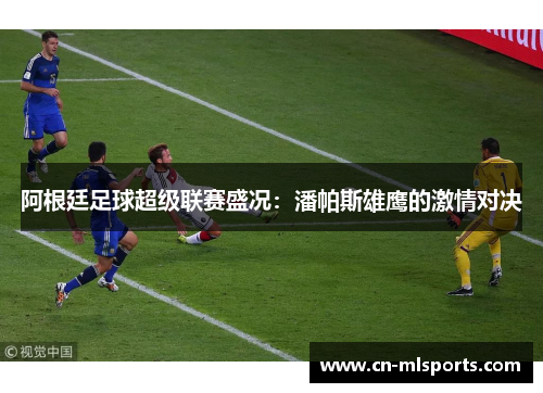 阿根廷足球超级联赛盛况：潘帕斯雄鹰的激情对决