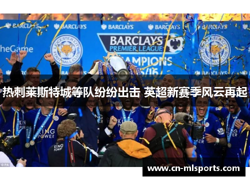 热刺莱斯特城等队纷纷出击 英超新赛季风云再起