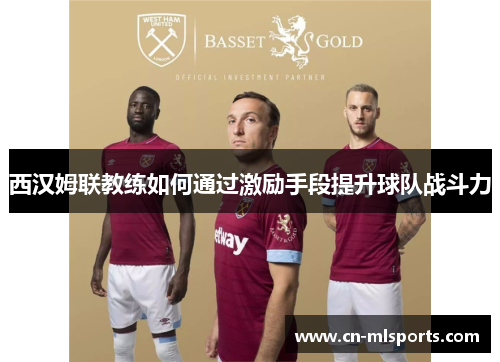 西汉姆联教练如何通过激励手段提升球队战斗力